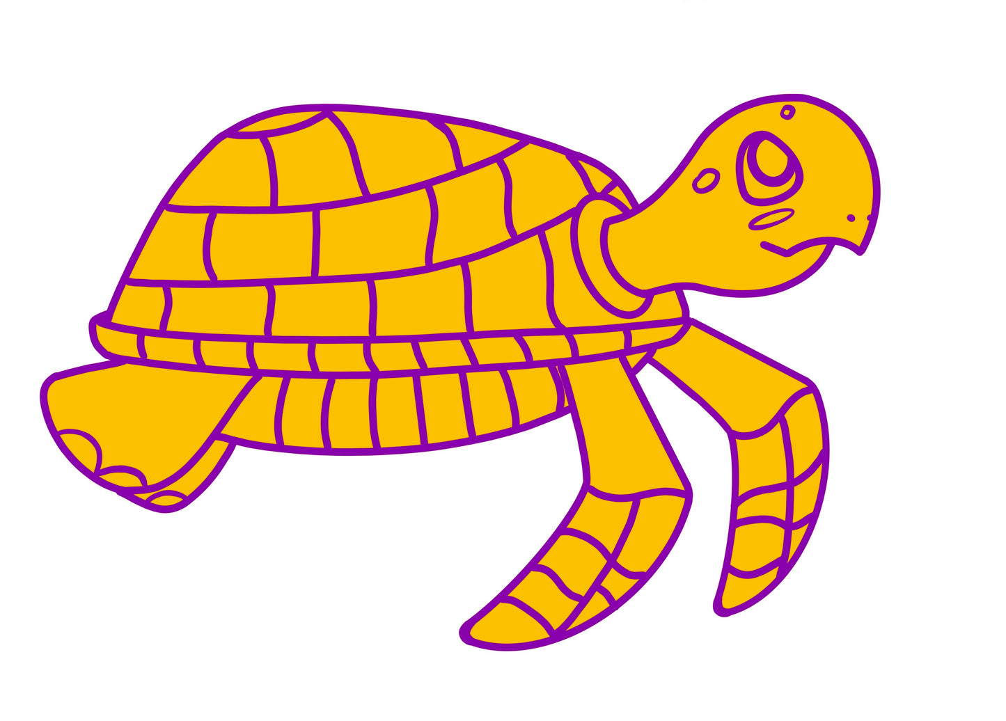 Turtles!