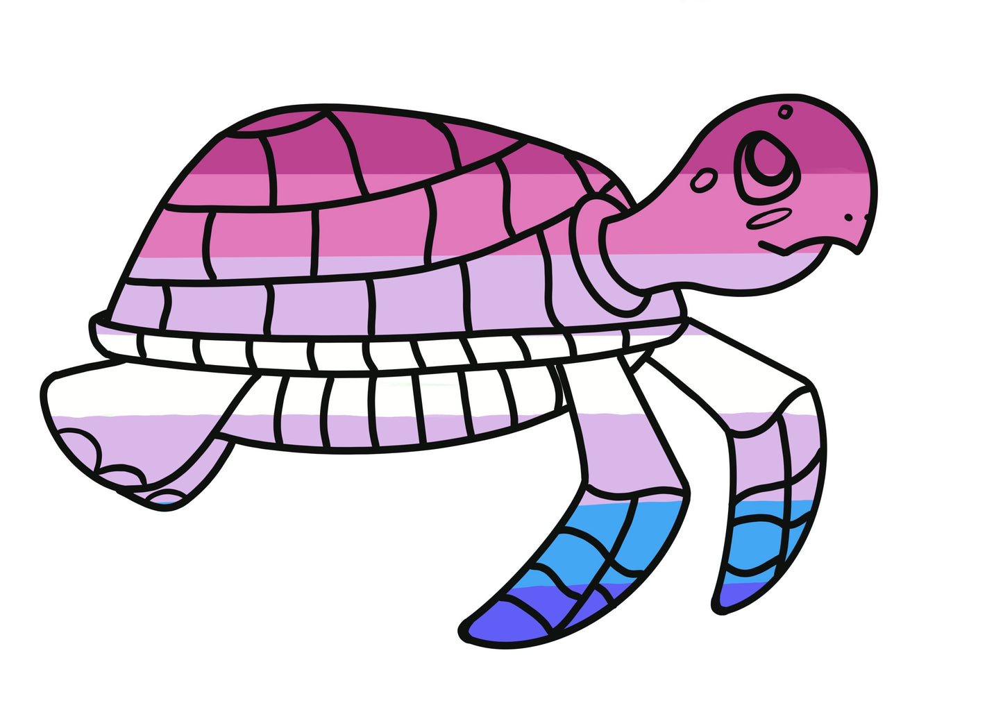 Turtles!