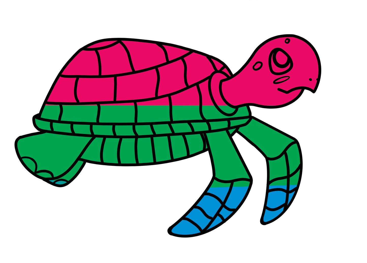 Turtles!