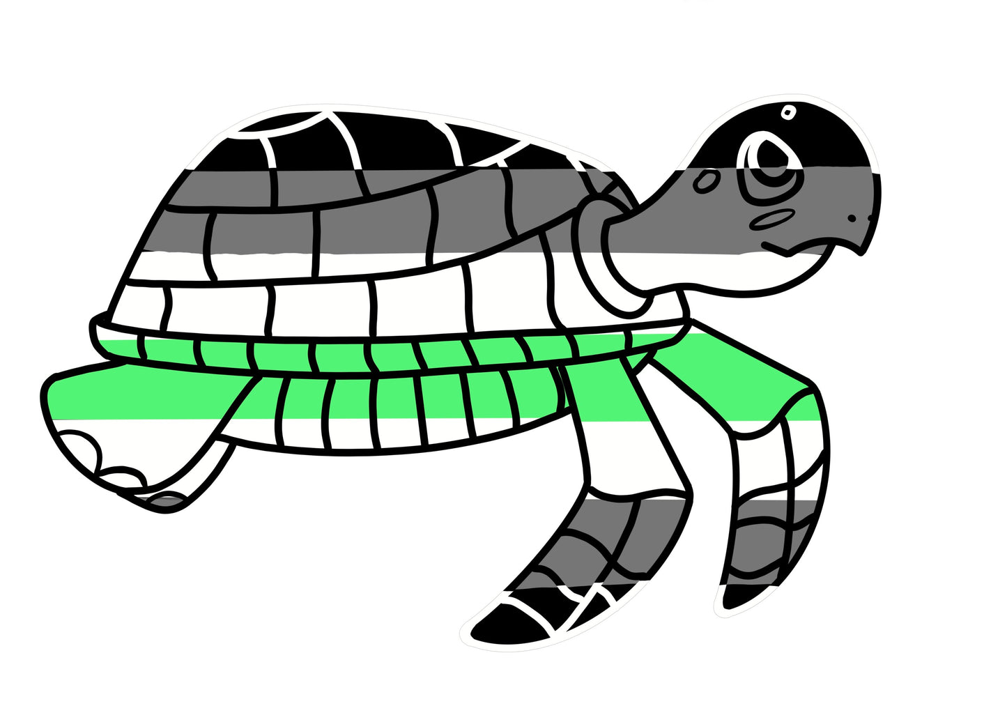 Turtles!