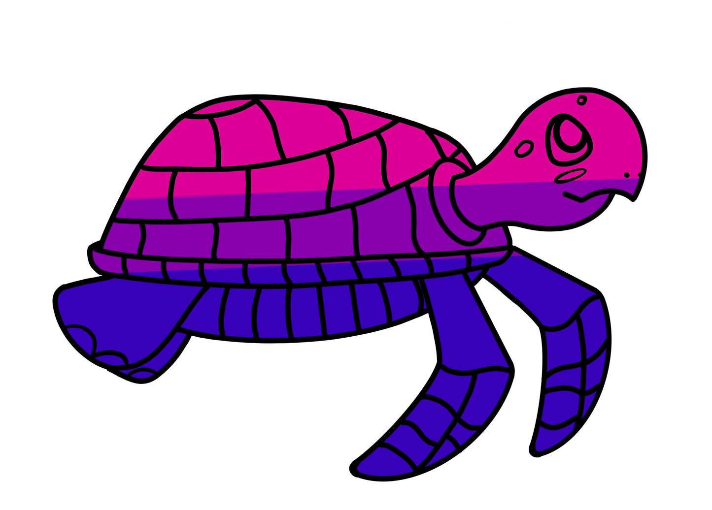 Turtles!