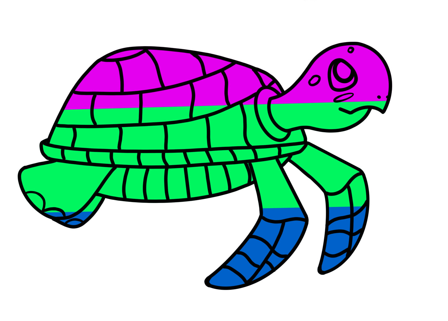 Turtles!