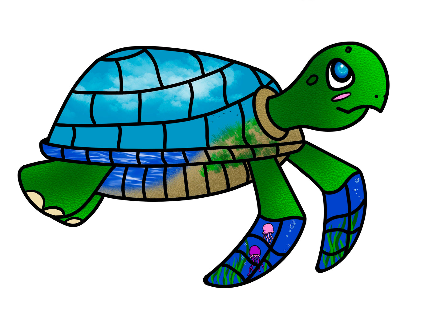 Turtles!