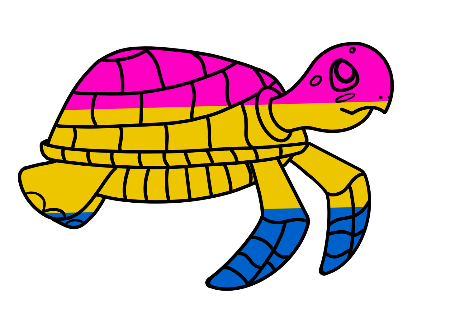 Turtles!