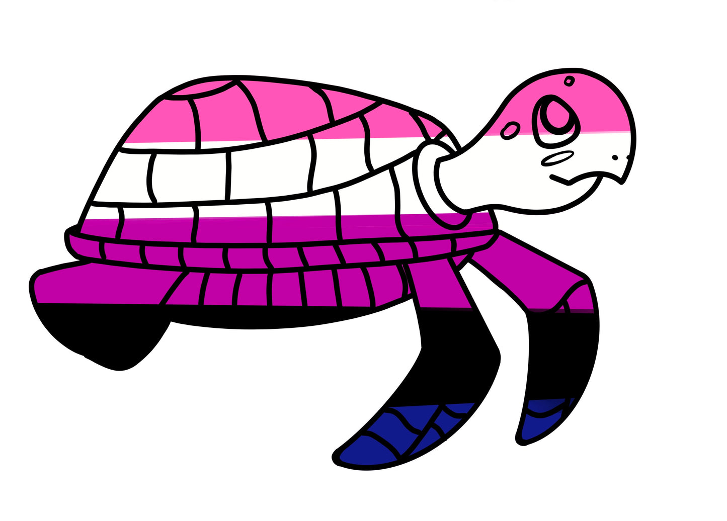 Turtles!