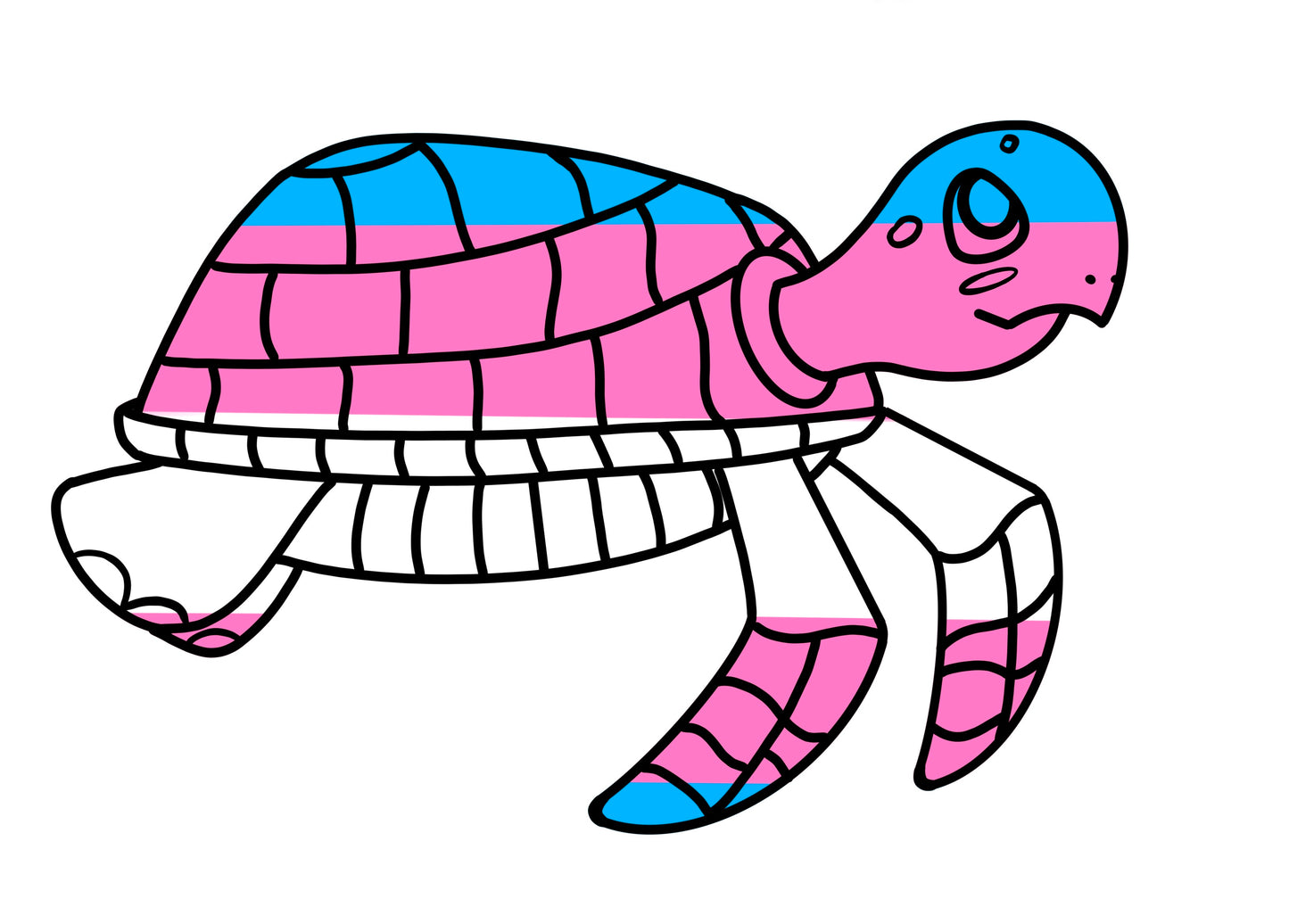 Turtles!
