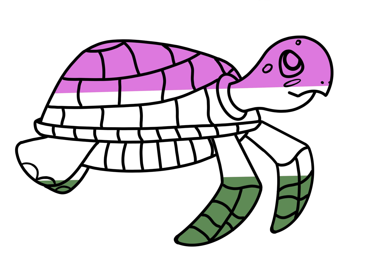 Turtles!